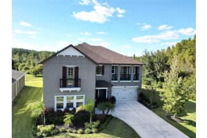 1879 WHITEWILLOW DRIVE, WESLEY CHAPEL, FL 33543 - MLS#MFRO6399021