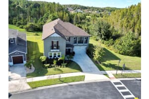 1879 WHITEWILLOW DRIVE, WESLEY CHAPEL, FL 33543 - MLS#MFRO6399021