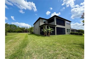 1879 WHITEWILLOW DRIVE, WESLEY CHAPEL, FL 33543 - MLS#MFRO6399021