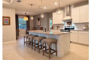 10800 LAXER CAY LOOP, SAN ANTONIO, FL 33576 - MLS#MFRO6399100