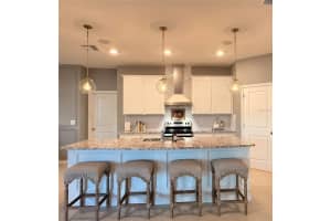 10800 LAXER CAY LOOP, SAN ANTONIO, FL 33576 - MLS#MFRO6399100