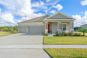 6115 CLAYSTONE WAY, MOUNT DORA, FL 32757 - MLS#MFRO6399144
