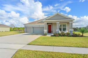 6115 CLAYSTONE WAY, MOUNT DORA, FL 32757 - MLS#MFRO6399144