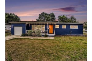 3313 KALEY AVENUE, ORLANDO, FL 32806 - MLS#MFRO6399161