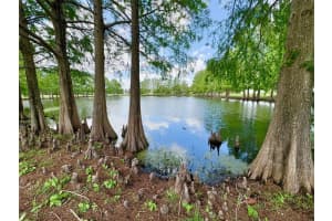 2813 ROLLING BROAK DRIVE, ORLANDO, FL 32837 - MLS#MFRO6399169