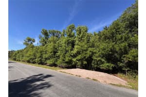 5913 EDGERTON AVENUE, ORLANDO, FL 32833 - MLS#MFRO6399275
