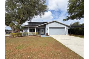 3014 ROSEBUD LANE, BRANDON, FL 33511 - MLS#MFRO6399281