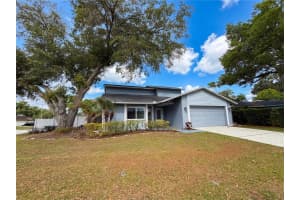 3014 ROSEBUD LANE, BRANDON, FL 33511 - MLS#MFRO6399281