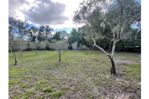 2395 TOMOKA WOODS PARKWAY, DE LEON SPRINGS, FL 32130 - MLS#MFRO6399390