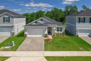 3103 SANCTUARY DR, CLERMONT, FL 34714 - MLS#MFRO6399419