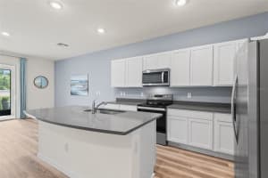 11028 CRESCENT DEER DRIVE, LAND O LAKES, FL 34638 - MLS#MFRO6399467