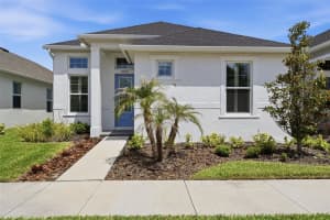 28761 SWEET PERSIMMON DRIVE, WESLEY CHAPEL, FL 33543 - MLS#MFRO6399571