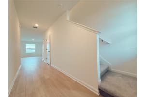 6481 DOMIZIO DRIVE, WINTER HAVEN, FL 33884 - MLS#MFRO6399616