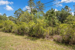 CAESAR AVE, ORLANDO, FL 32833 Sold 05/07/26