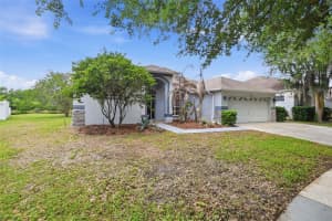 16825 HARRIERRIDGE PLACE, LITHIA, FL 33547 - MLS#MFRO6399729