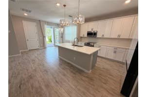 11153 GREEN CITRON ALLEY, WINTER GARDEN, FL 34787 - MLS#MFRO6399918