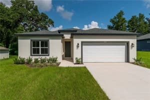 9262 ALPINIA DRIVE, CITRUS SPRINGS, FL 34434 - MLS#MFRO6399960