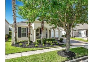 14626 BLACK QUILL DRIVE, WINTER GARDEN, FL 34787 - MLS#MFRO6399975