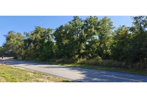 Lot 114 N GOODMAN ROAD, KISSIMMEE, FL 34747 - MLS#MFRO6399976