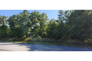 Lot 114 N GOODMAN ROAD, KISSIMMEE, FL 34747 - MLS#MFRO6399976