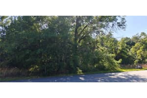 Lot 114 N GOODMAN ROAD, KISSIMMEE, FL 34747 - MLS#MFRO6399976