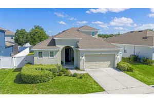 3261 BETHPAGE LOOP, MOUNT DORA, FL 32757 - MLS#MFRO6400008