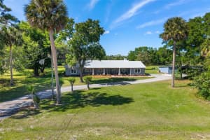 650 OLD MIMS ROAD, GENEVA, FL 32732 - MLS#MFRO6400145
