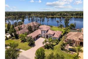 1306 MERRY WATER DRIVE, LUTZ, FL 33548 - MLS#MFRO6400226
