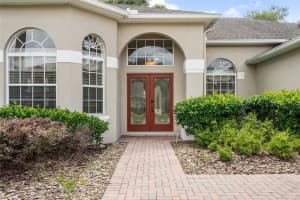 10060 CHARDONNAY DRIVE, ORLANDO, FL 32832 - MLS#MFRO6400359