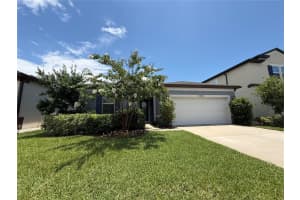 10401 Malvasia Ave, RIVERVIEW