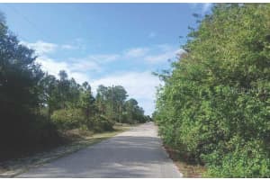 1302 WILLARD AVENUE, LEHIGH ACRES, FL 33972 - MLS#MFRO6400552