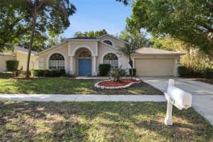 703 GRAND CANYON DRIVE, VALRICO, FL 33594 - MLS#MFRO6400606