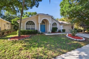 703 GRAND CANYON DRIVE, VALRICO, FL 33594 - MLS#MFRO6400606