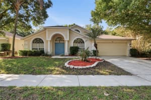 703 GRAND CANYON DRIVE, VALRICO, FL 33594 - MLS#MFRO6400606