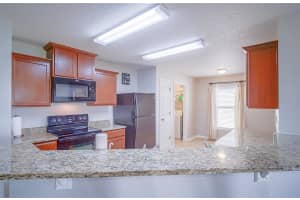 30838 WATER LILY DRIVE, BROOKSVILLE, FL 34602 - MLS#MFRO6400616