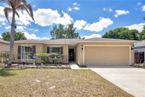 127 Laurel Ridge Ave, OCOEE