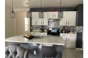 3547 FORSTER AVENUE, LEESBURG, FL 34748 - MLS#MFRO6400701