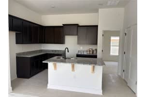 247 VERNY GROVE LANE, LEESBURG, FL 34748 - MLS#MFRO6400801