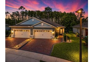 3421 Twin Flower, CLERMONT