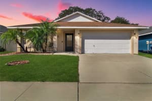 15427 Winter Breeze Ln, WIMAUMA