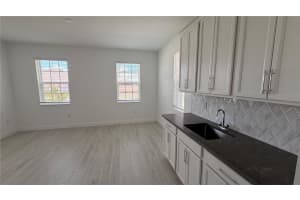 5061 NORTHERN DOVE AVENUE, MOUNT DORA, FL 32757 - MLS#MFRO6401247