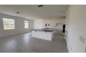 5061 NORTHERN DOVE AVENUE, MOUNT DORA, FL 32757 - MLS#MFRO6401247