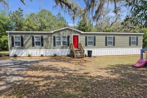 276 BATTLE HILL LANE, LAKE CITY, FL 32055 - MLS#MFRO6401427