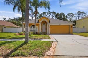 15511 Montilla Loop, TAMPA