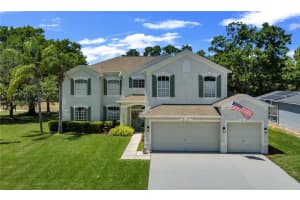 16118 MUIRFIELD DRIVE, ODESSA, FL 33556 - MLS#MFRO6401648