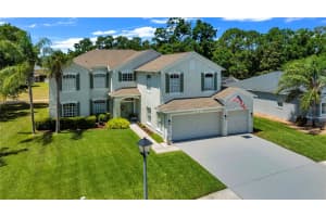16118 MUIRFIELD DRIVE, ODESSA, FL 33556 - MLS#MFRO6401648