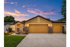 14818 HERONGLEN DRIVE, LITHIA, FL 33547 - MLS#MFRO6401777