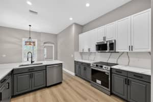 14818 HERONGLEN DRIVE, LITHIA, FL 33547 - MLS#MFRO6401777