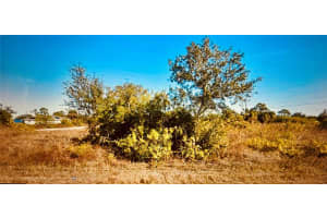 3333 MEADOW ROAD, LEHIGH ACRES, FL 33974 - MLS#MFRO6401778