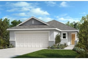 10308 Honeysuckle Vine Cir, RIVERVIEW